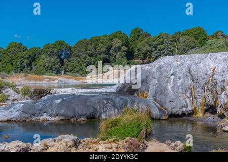 Terrazze di silicio al villaggio te puia vicino a Rotorua, Nuova Zelanda Foto Stock