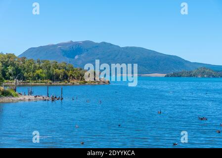 Lago Rotomahana vicino a Rotorua, Nuova Zelanda Foto Stock