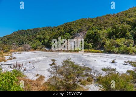 Paesaggio geotermico della valle vulcanica di Waimangu, Nuova Zelanda Foto Stock