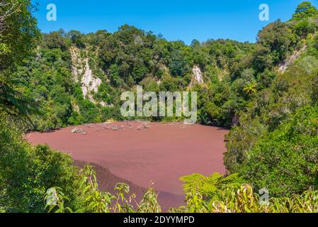 Lago cratere meridionale nella valle vulcanica di Waimangu in Nuova Zelanda Foto Stock