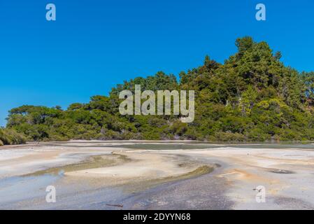 Piscine di fango a Wai-o-Tapu in Nuova Zelanda Foto Stock