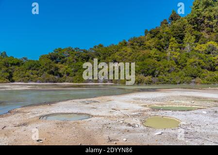 Piscine di fango a Wai-o-Tapu in Nuova Zelanda Foto Stock