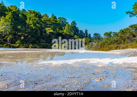 Paesaggio geotermico di Wai-o-Tapu, Nuova Zelanda Foto Stock