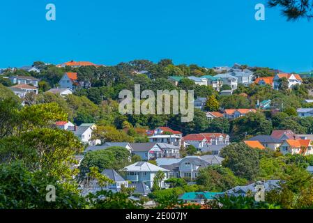 Case residenziali a Wellington, Nuova Zelanda Foto Stock