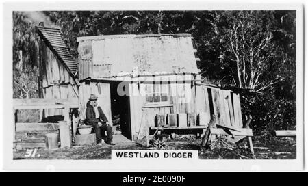 Illustrazione dell'iconico scavatore d'oro della Westland alla sua capanna, da una sigaretta sulla storia della Nuova Zelanda, circa 1930 Foto Stock