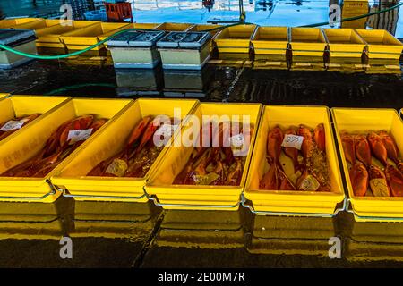 Kinmedai (gold eye snapper) all'asta del pesce a Yaidu, Giappone Foto Stock