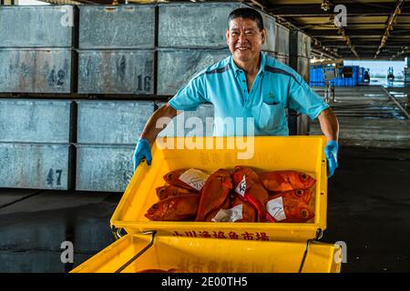 Kinmedai (gold eye snapper) all'asta del pesce a Yaidu, Giappone Foto Stock