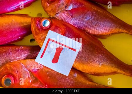 Kinmedai (gold eye snapper) all'asta del pesce a Yaidu, Giappone Foto Stock