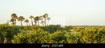 Merritt Island Wildlife Refuge al mattino Foto Stock