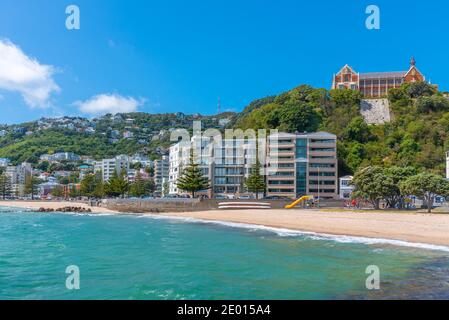 Oriental Bay Beach a Wellington, Nuova Zelanda Foto Stock