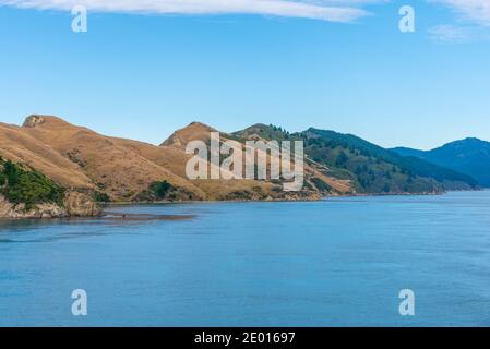 Suono Queen Charlotte a South Island of New Zeland Foto Stock