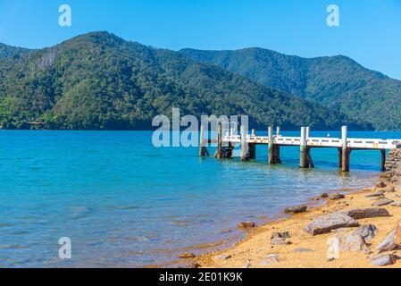 Molo di legno a Queen Charlotte suono in Nuova Zelanda Foto Stock