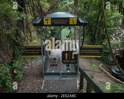 Stazione self-service per la pulizia delle calzature per evitare la diffusione di alberi di kauri Malattia da dieback nei pressi di Auckland Nuova Zelanda Aotearoa Foto Stock