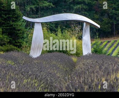 "Lavanda Pi": L'arte dell'acciaio di Micajah Bienvenu, San Juan Island, WA, USA Foto Stock