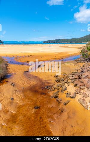 Ruscello Richardson al parco nazionale Abel Tasman in Nuova Zelanda Foto Stock