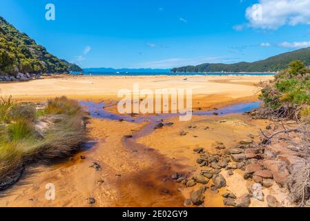 Ruscello Richardson al parco nazionale Abel Tasman in Nuova Zelanda Foto Stock