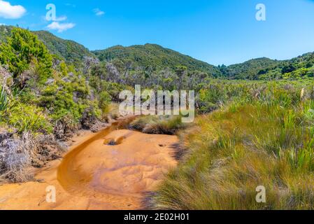 Ruscello Richardson al parco nazionale Abel Tasman in Nuova Zelanda Foto Stock