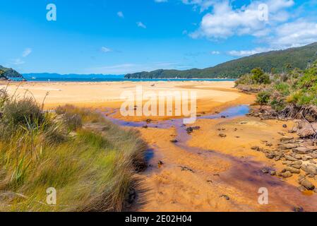 Ruscello Richardson al parco nazionale Abel Tasman in Nuova Zelanda Foto Stock