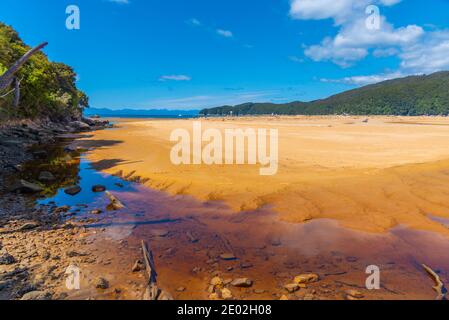 Ruscello Richardson al parco nazionale Abel Tasman in Nuova Zelanda Foto Stock