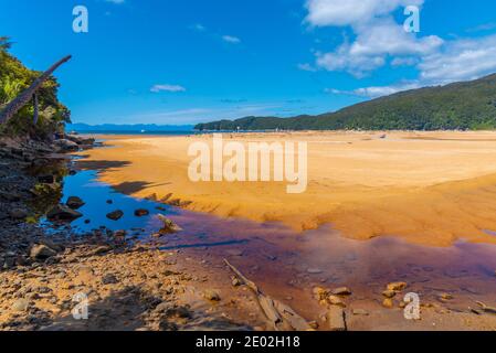 Ruscello Richardson al parco nazionale Abel Tasman in Nuova Zelanda Foto Stock