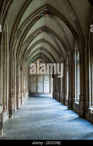 San Martin's Cathedral, Utrecht, Paesi Bassi Foto Stock