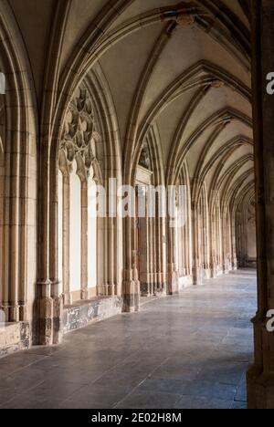 San Martin's Cathedral, Utrecht, Paesi Bassi Foto Stock