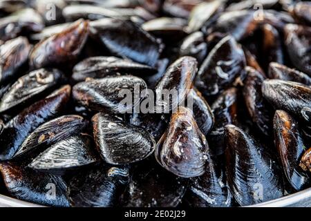 Cozze cotte. Cozze in salsa al limone. Prodotti del mare. Negozio di musiche, cozze miste e stativo di musella con limoni. Foto Stock