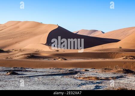 I turisti che camminano la Duna grande del papà, Namib Naukluft Park, Namibia Foto Stock