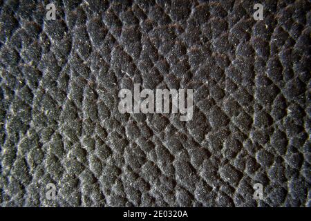 Primo piano della texture in pelle nera di qualità. Grunge pelle fondo tessuto. Foto Stock