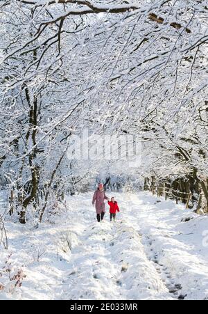 Meteo, 29 Dicembre 2020. Harris Cameron e sua mamma Alison godono di una passeggiata attraverso gli alberi innevati dopo una notte di nevicate, West Calder, West Lothian, Scozia, Regno Unito. . Credit: Ian Rutherford/Alamy Live News. Foto Stock