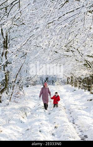 Meteo, 29 Dicembre 2020. Harris Cameron e sua mamma Alison godono di una passeggiata attraverso gli alberi innevati dopo una notte di nevicate, West Calder, West Lothian, Scozia, Regno Unito. . Credit: Ian Rutherford/Alamy Live News. Foto Stock