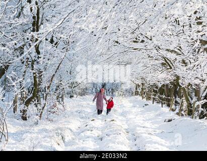 Meteo, 29 Dicembre 2020. Harris Cameron e sua mamma Alison godono di una passeggiata attraverso gli alberi innevati dopo una notte di nevicate, West Calder, West Lothian, Scozia, Regno Unito. . Credit: Ian Rutherford/Alamy Live News. Foto Stock