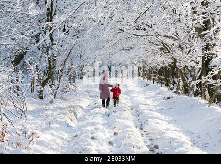 Meteo, 29 Dicembre 2020. Harris Cameron e sua mamma Alison godono di una passeggiata attraverso gli alberi innevati dopo una notte di nevicate, West Calder, West Lothian, Scozia, Regno Unito. . Credit: Ian Rutherford/Alamy Live News. Foto Stock