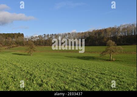 Una vista da un sentiero sulla Upton House tenuta una NT proprietà vicino Banbury, Oxfordshire Foto Stock