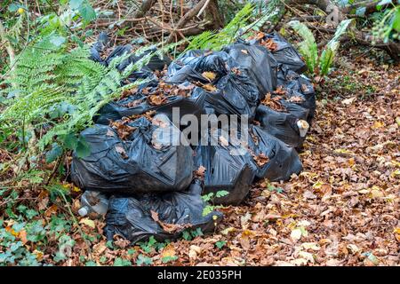 Sacchetti di plastica nera per rifiuti di rifiuti contenenti bottiglie di plastica e tazze con imballaggio di carta con sacchetti e latta le lattine hanno lasciato come garb incurante Foto Stock