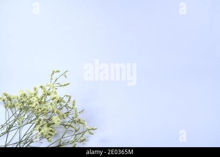 Bouquet di fiori gialli che giacciono nell'angolo in basso a sinistra dell'immagine, sfondo pastello, spazio di copia Foto Stock