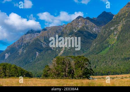 Paesaggio di Knobs piatto in Nuova Zelanda Foto Stock