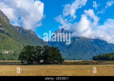 Paesaggio di Knobs piatto in Nuova Zelanda Foto Stock