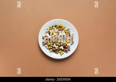 Croccini secchi cane su piatto su sfondo beige Foto Stock