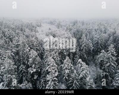 Vista dall'alto della foresta di abeti rossi. Paesaggio invernale dall'alto. Colpo di drone di albero coperto di neve Foto Stock