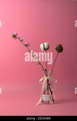 Fiori, batuffolo di cotone bianco, torre di pino in vaso di vetro, sfondo rosa. Spazio di copia. Immagine verticale Foto Stock