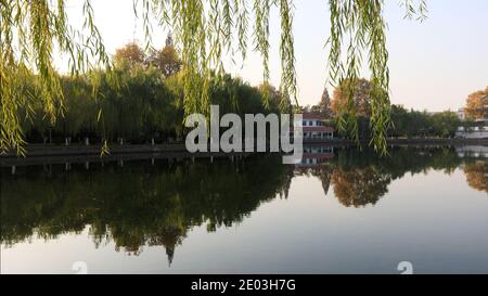 Riflessi in lago calmo in parco, salice strisce di fronte alla lente Foto Stock