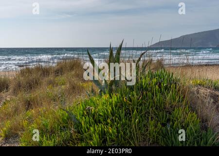 LEGRENA spiaggia su un vento ventoso sud, Grecia Foto Stock