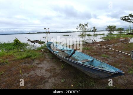 Mamirauá Riserva per lo sviluppo sostenibile in Amazzonia tra i fiumi Solimões e Japurá, villaggio Caburini Foto Stock