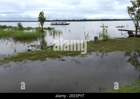 Mamirauá Riserva per lo sviluppo sostenibile in Amazzonia tra i fiumi Solimões e Japurá, villaggio Caburini Foto Stock