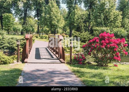 Frammento di un lago e un piccolo ponte di legno bello nel Parco Nazionale di Mezhyhirye vicino Kiev, Ucraina. Foto Stock