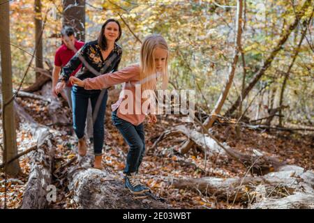 I genitori e la ragazza piccola che equilibrano sul ceppo della foresta Foto Stock