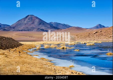 Grandangolo Fotografia del deserto di Atacama con Vulcano Licancabur. Foto Stock