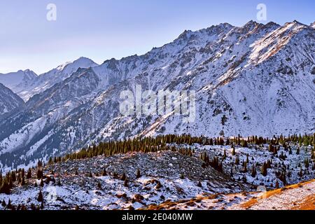 Maestose montagne con prati alpini adiorati di cespugli e ginepri contro un cielo blu; fine novembre autunno nelle alture Foto Stock