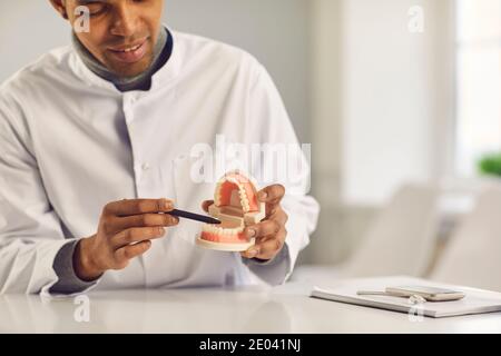 Dentista che tiene il modello della mascella, che mostra la posizione corretta dei denti e insegna come pulirli Foto Stock